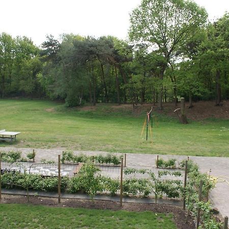Vakantieboerderij 'T Zand - Appartement Heeswijk-Dinther Dış mekan fotoğraf